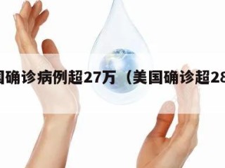 美国确诊病例超27万（美国确诊超287万）